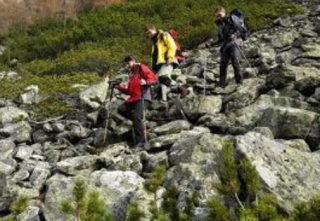  Itinerarios con guías expertos 